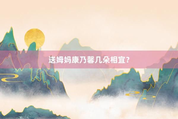 送姆妈康乃馨几朵相宜？