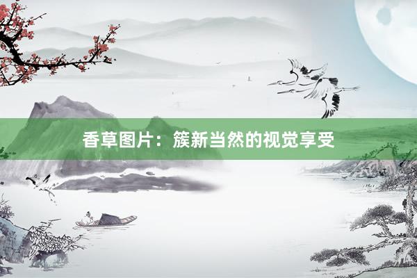 香草图片:簇新当然的视觉享受