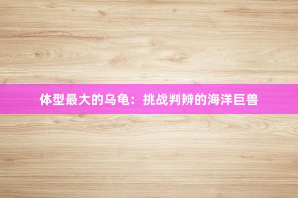 体型最大的乌龟：挑战判辨的海洋巨兽