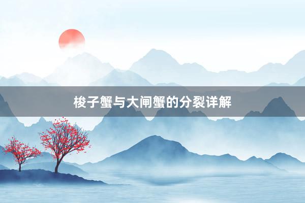 梭子蟹与大闸蟹的分裂详解