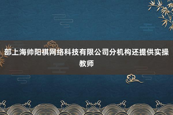 部上海帅阳祺网络科技有限公司分机构还提供实操教师