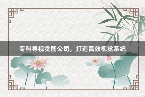 专科导视贪图公司，打造高效视觉系统