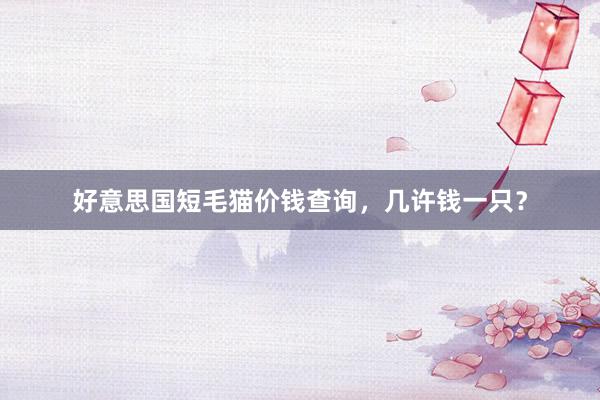 好意思国短毛猫价钱查询，几许钱一只？