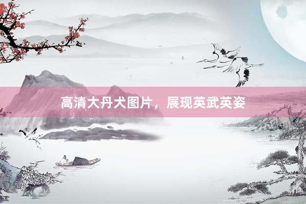 高清大丹犬图片,展现英武英姿