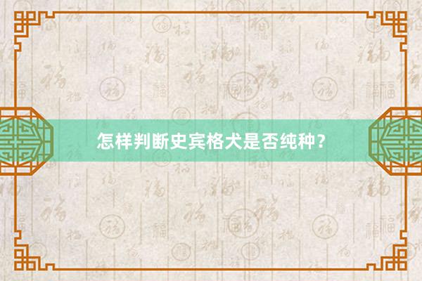 怎样判断史宾格犬是否纯种？