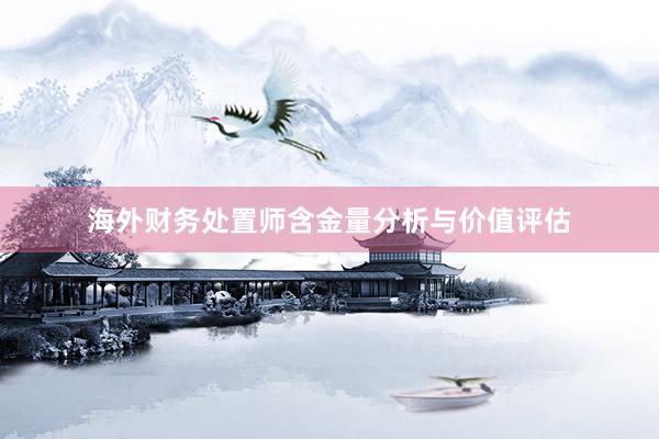 海外财务处置师含金量分析与价值评估