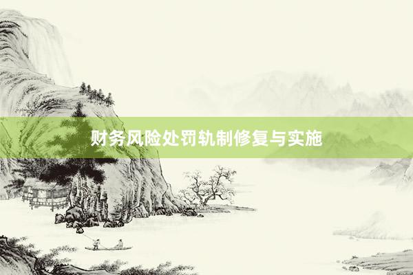 财务风险处罚轨制修复与实施